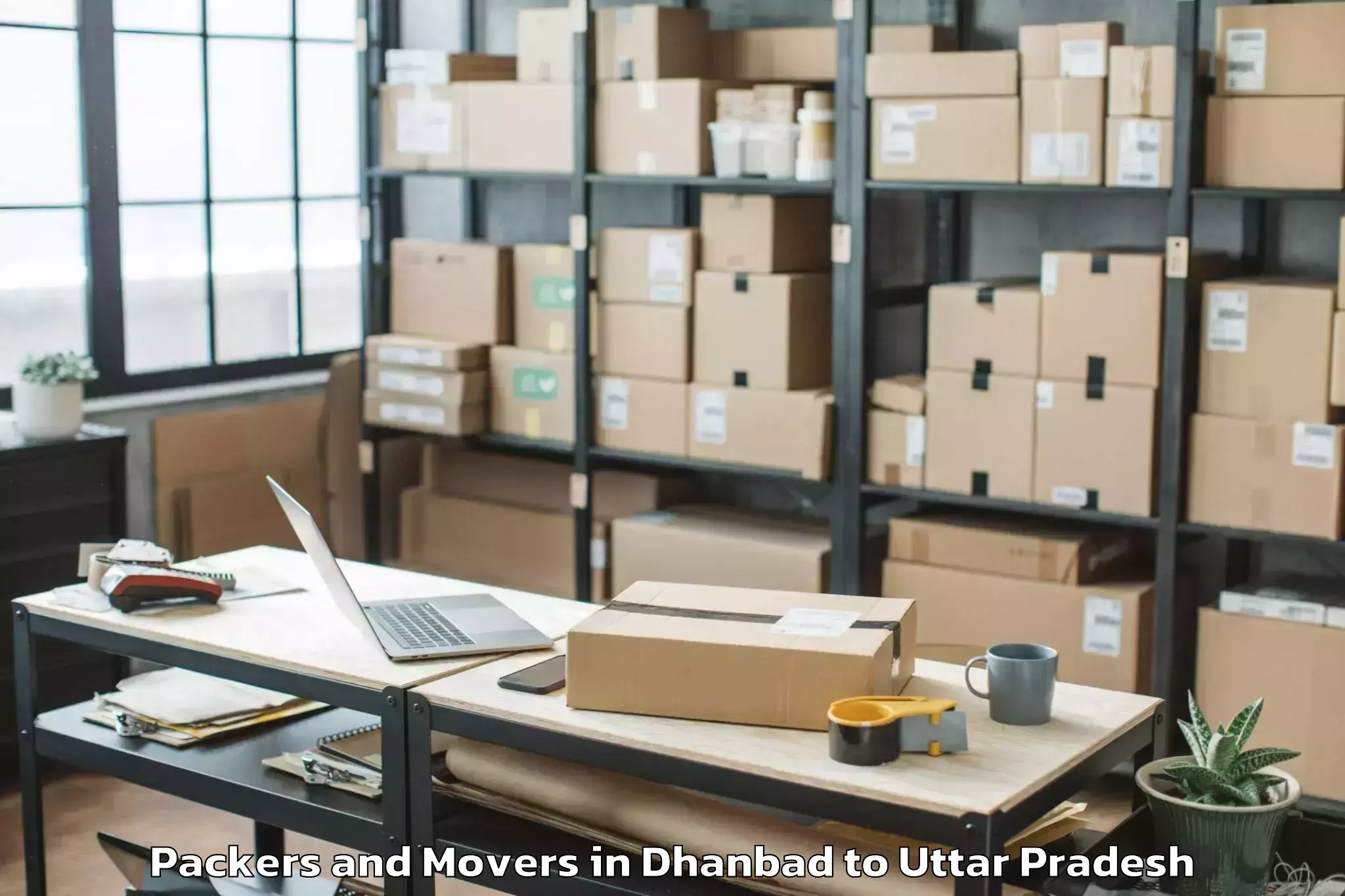 Book Dhanbad to Soraon Packers And Movers